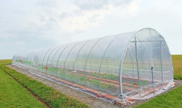 Nhà màng trồng rau mini